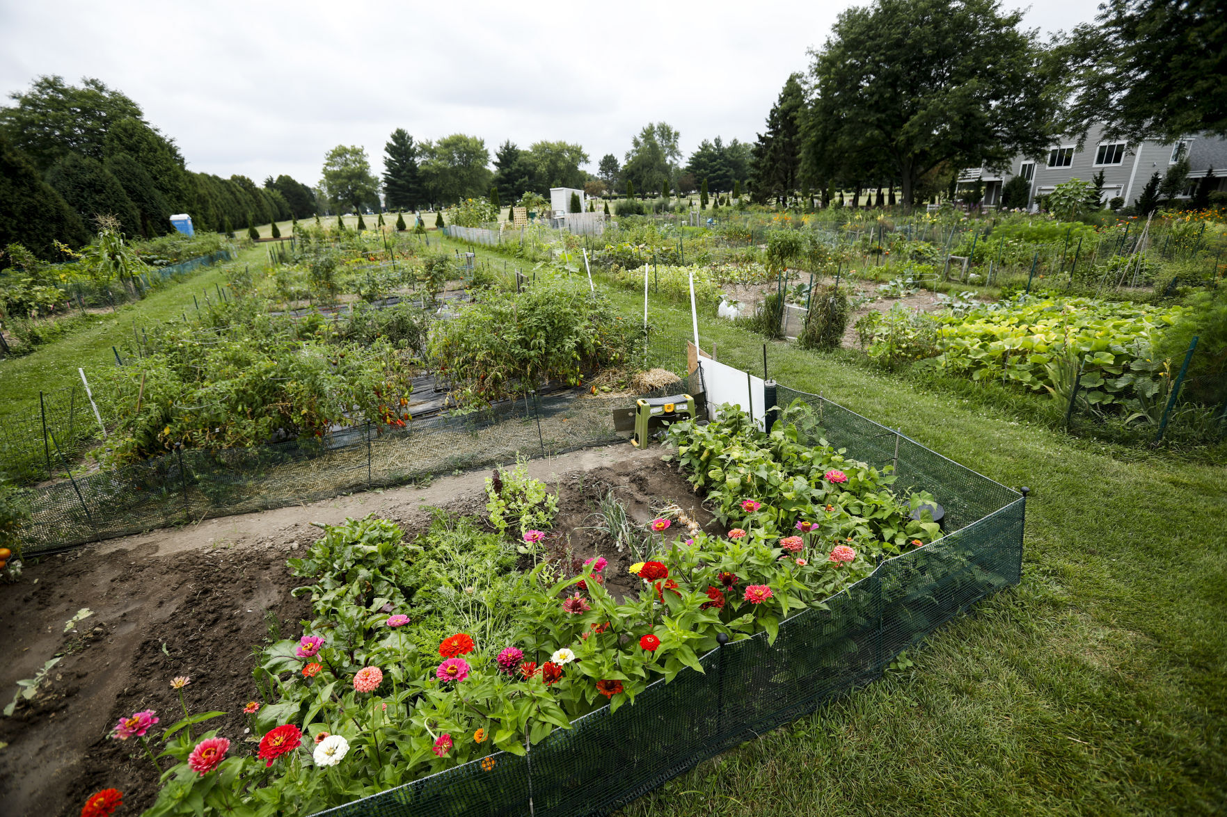 Community Gardens 080920 16-08092020175649